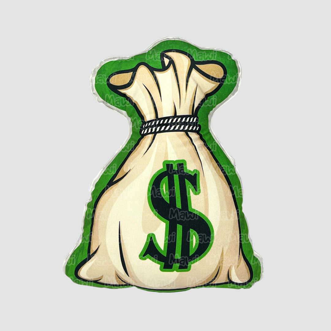 Cojín bolsa de dinero