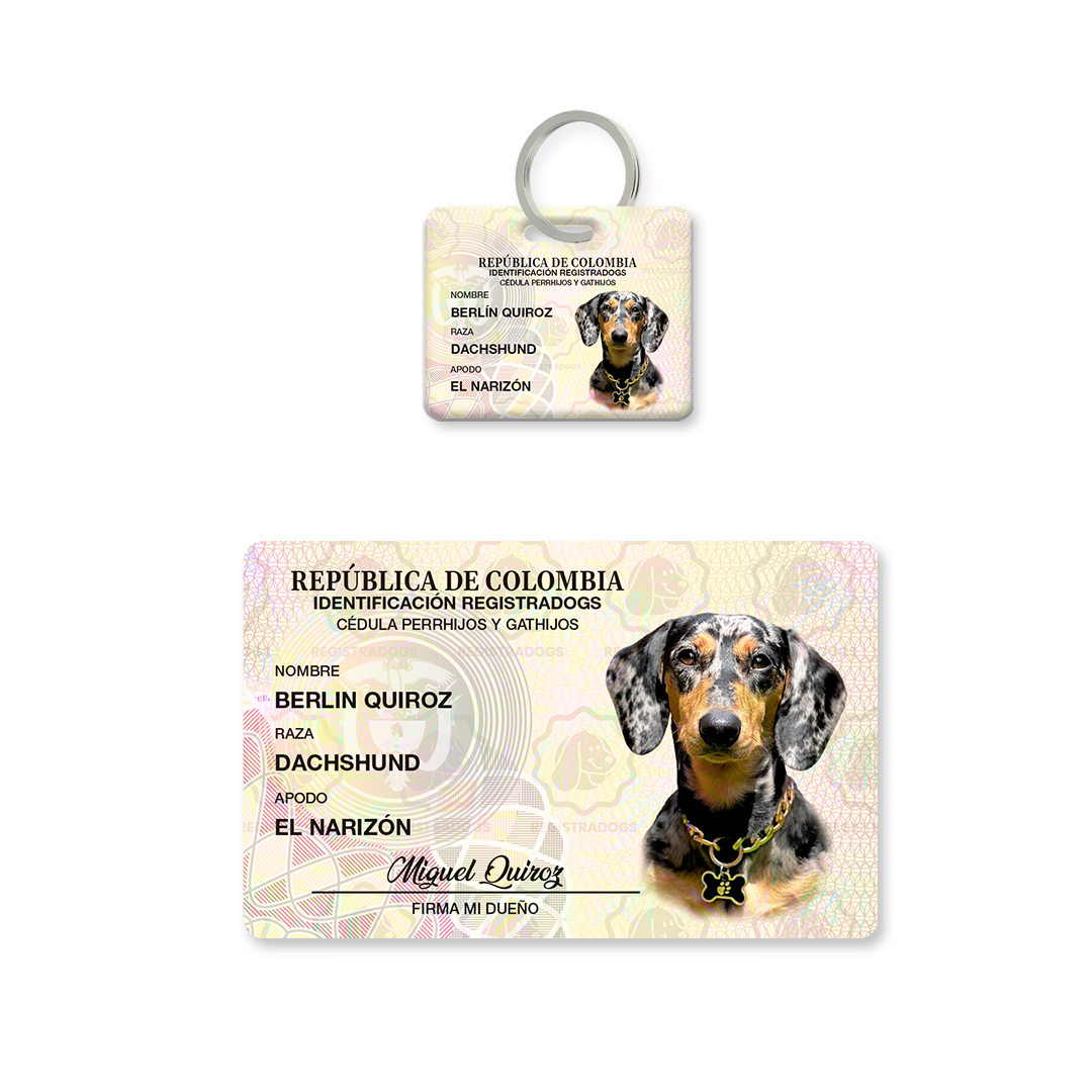 Combo Cédula + Placa QR