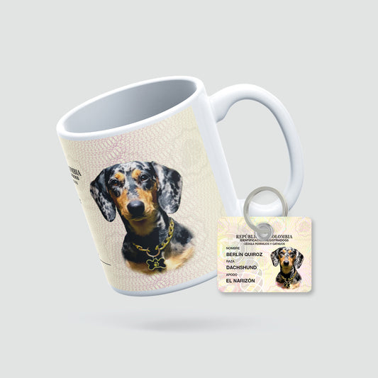 Mug Registradogs + Placa QR