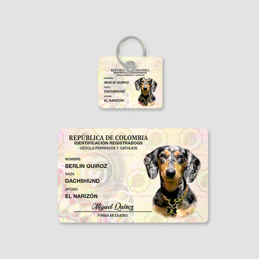 Combo Cédula + Placa QR