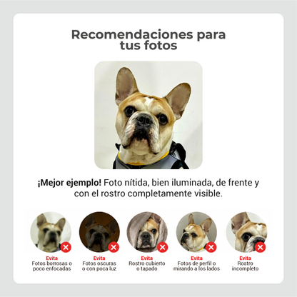 Cojín Personalizado Mascota