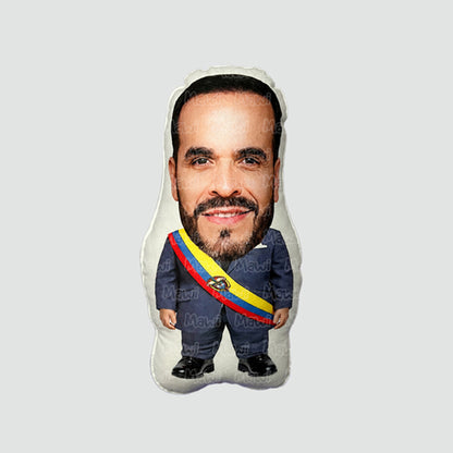 Cojín chiquito Abelardo el Tigre