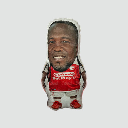 Cojín chiquito Rodallega
